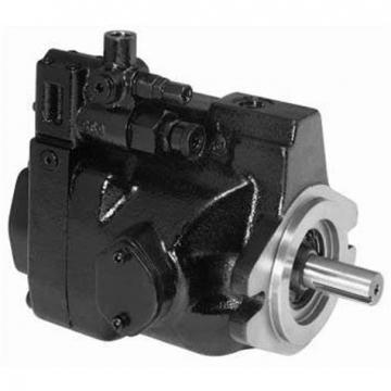 PAKER YB-E200 Piston Pump